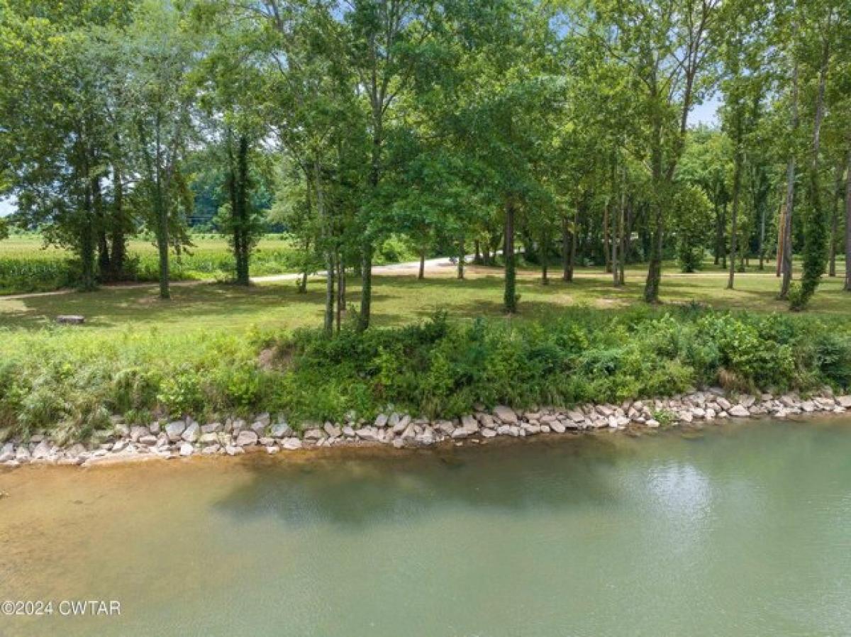 Picture of Residential Land For Sale in Linden, Tennessee, United States