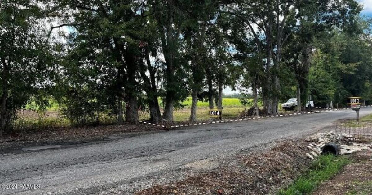 Picture of Residential Land For Sale in Breaux Bridge, Louisiana, United States