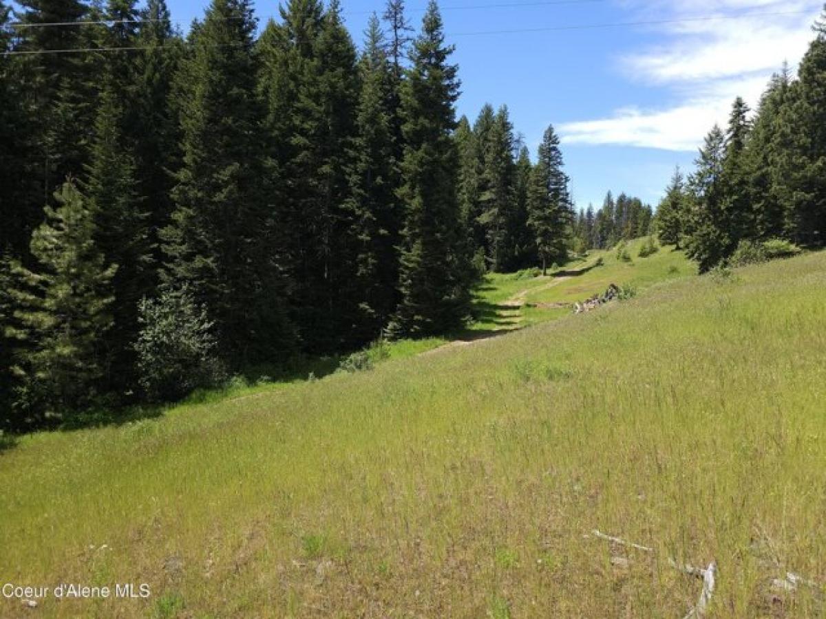 Picture of Residential Land For Sale in Saint Maries, Idaho, United States