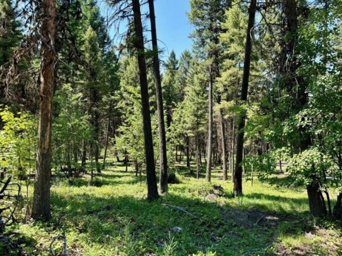 Picture of Residential Land For Sale in Seeley Lake, Montana, United States