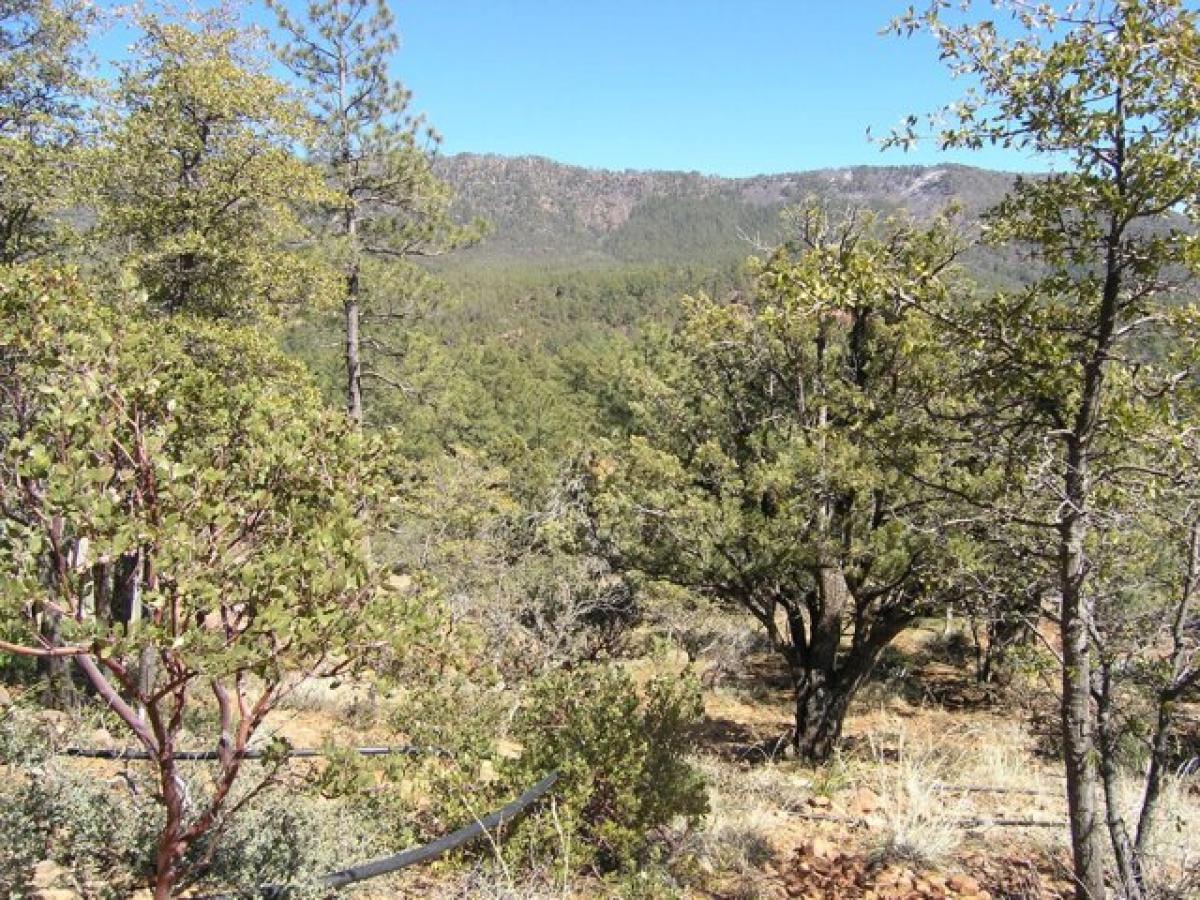 Picture of Residential Land For Sale in Pine, Arizona, United States