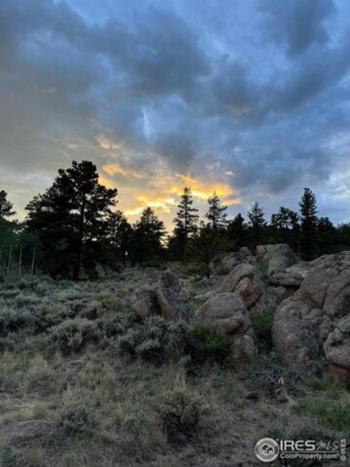 Picture of Residential Land For Sale in Red Feather Lakes, Colorado, United States