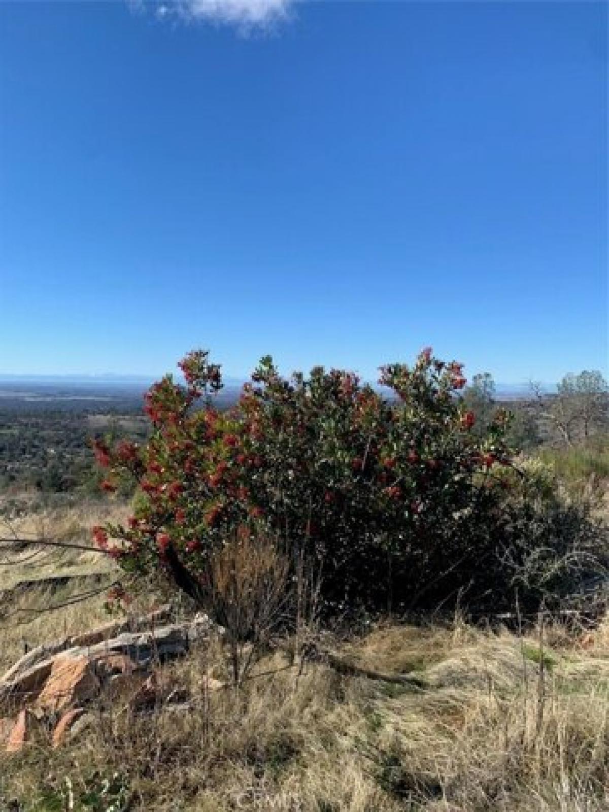 Picture of Residential Land For Sale in Oroville, California, United States