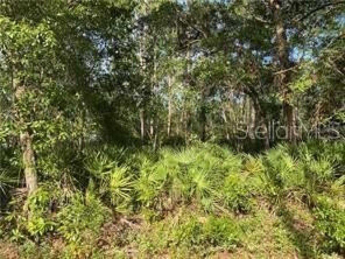 Picture of Residential Land For Sale in Fort Mccoy, Florida, United States