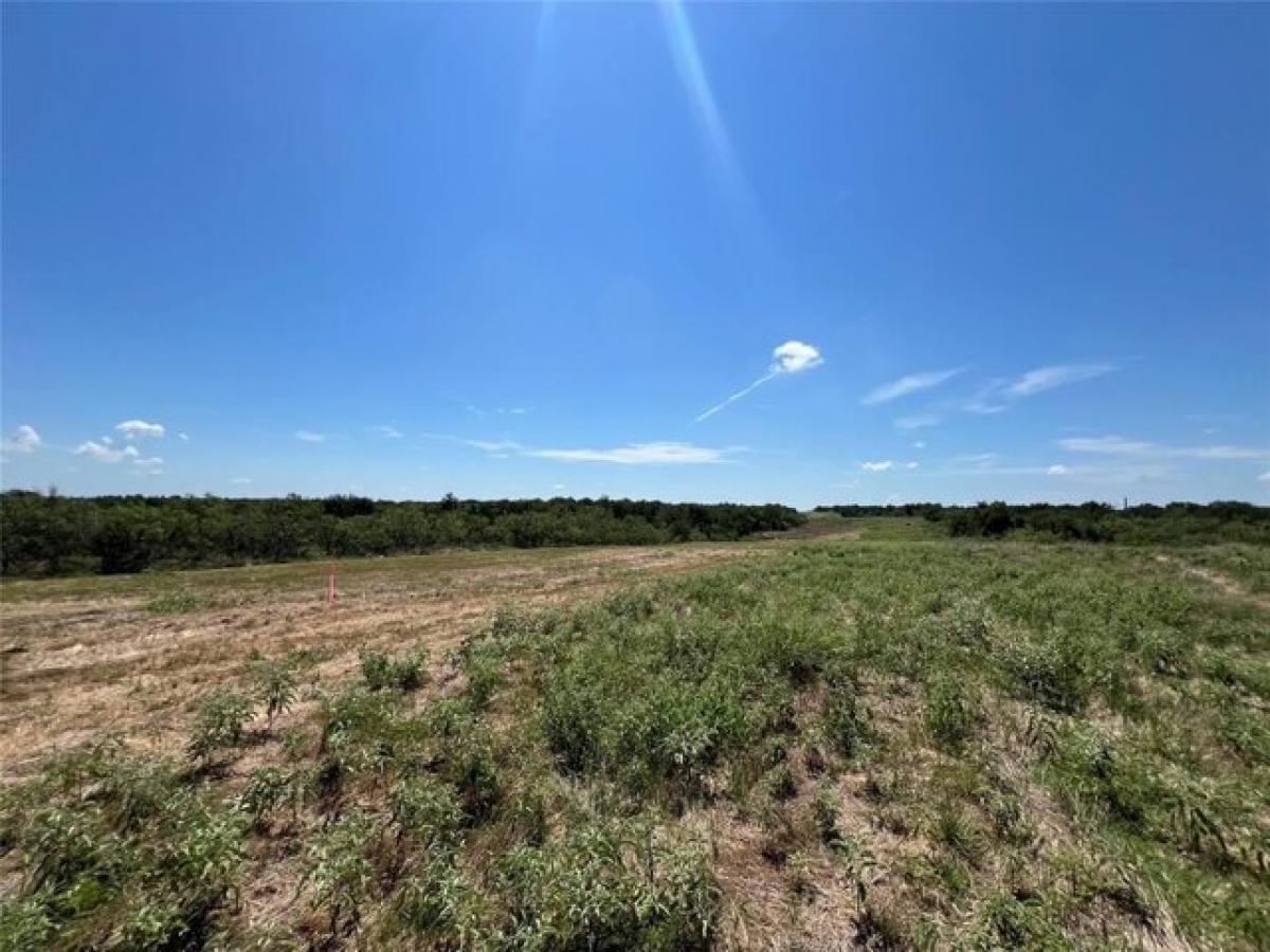 Picture of Residential Land For Sale in Elgin, Texas, United States