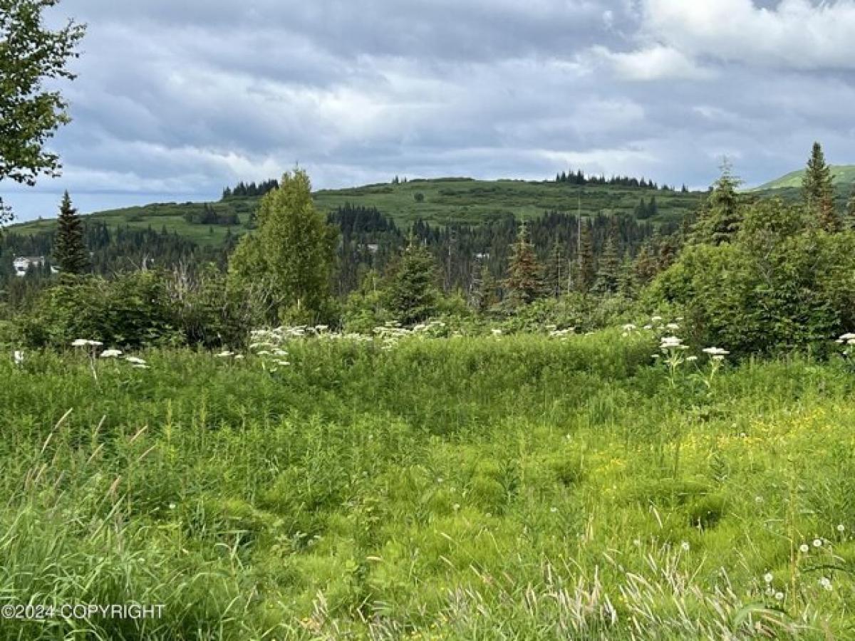 Picture of Residential Land For Sale in Anchor Point, Alaska, United States