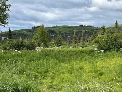 Residential Land For Sale in Anchor Point, Alaska