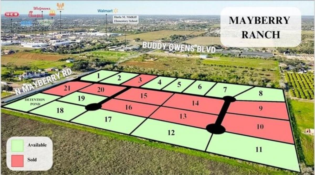 Picture of Residential Land For Sale in Palmhurst, Texas, United States