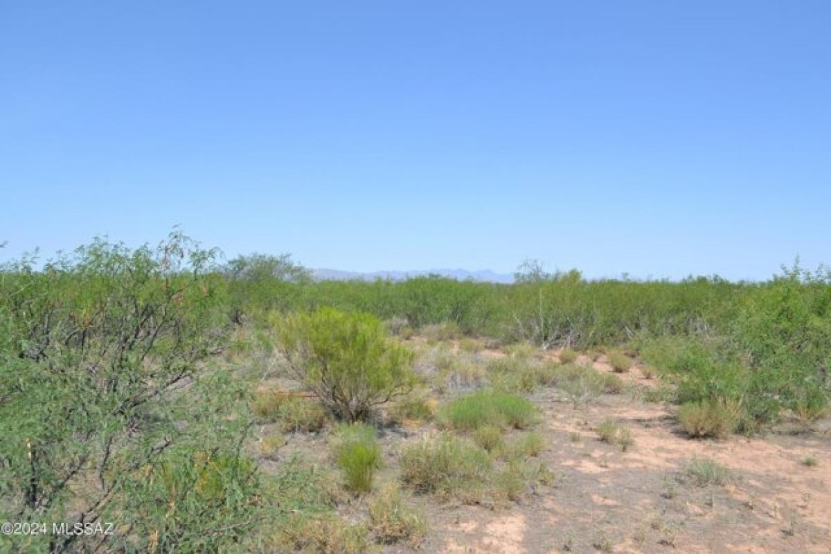 Picture of Residential Land For Sale in Elfrida, Arizona, United States