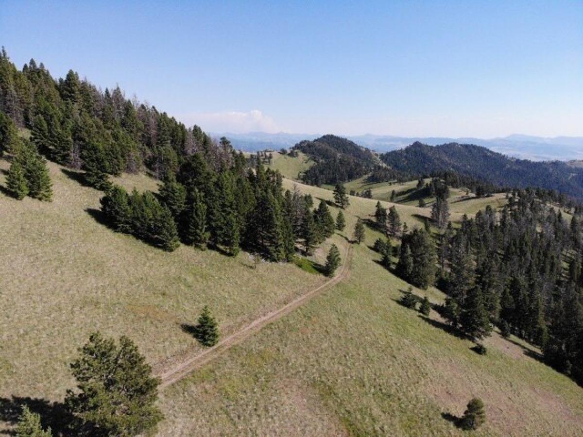 Picture of Residential Land For Sale in Cascade, Montana, United States