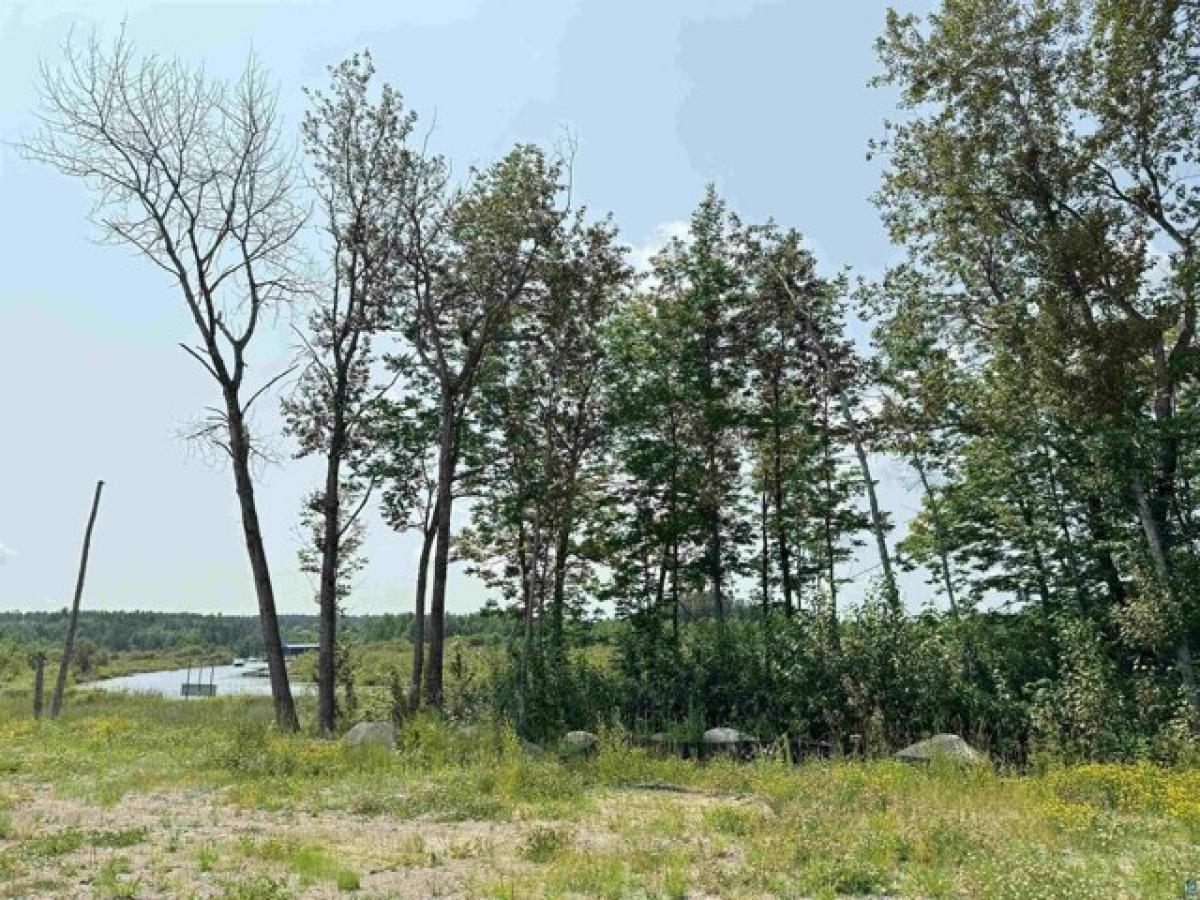 Picture of Residential Land For Sale in Tower, Minnesota, United States