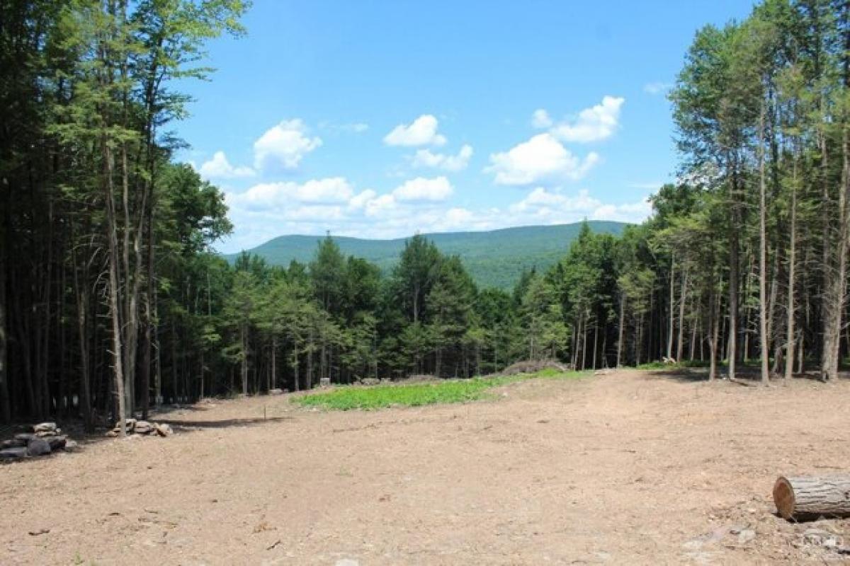 Picture of Residential Land For Sale in Prattsville, New York, United States