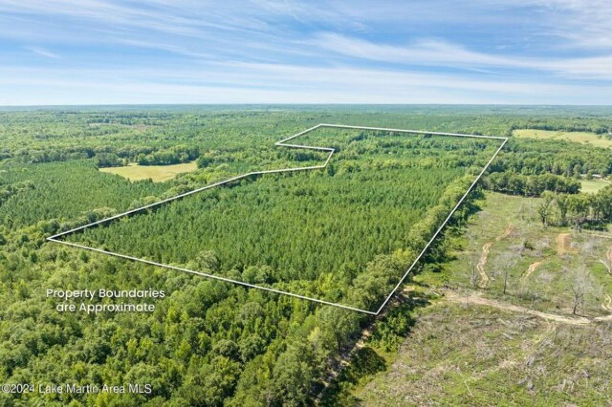 Picture of Residential Land For Sale in Camp Hill, Alabama, United States