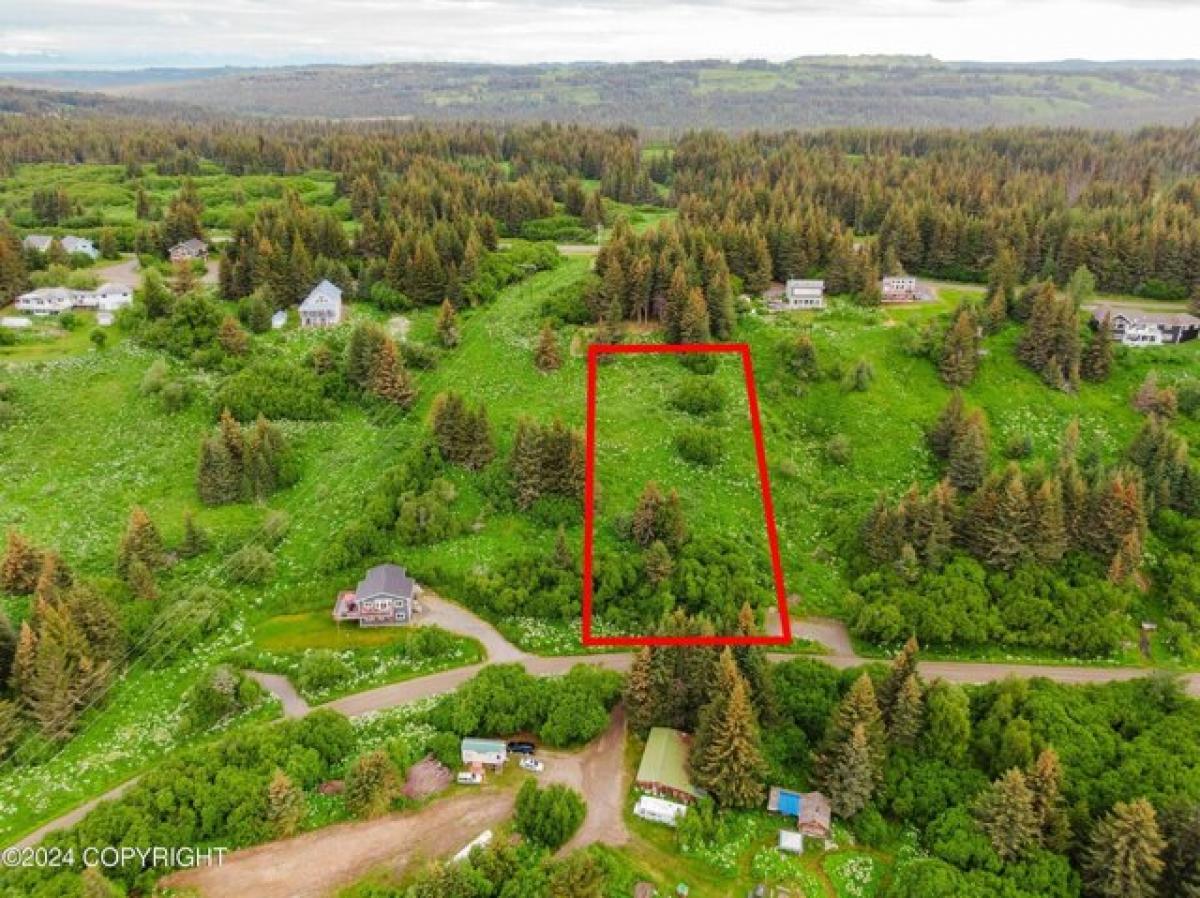 Picture of Residential Land For Sale in Homer, Alaska, United States