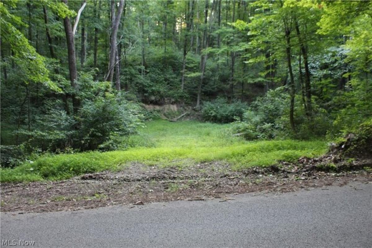 Picture of Residential Land For Sale in Cambridge, Ohio, United States