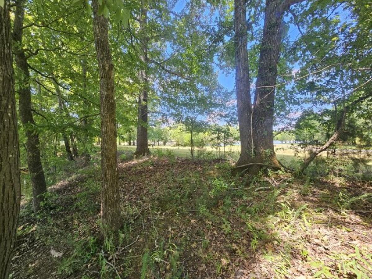 Picture of Residential Land For Sale in Bath Springs, Tennessee, United States