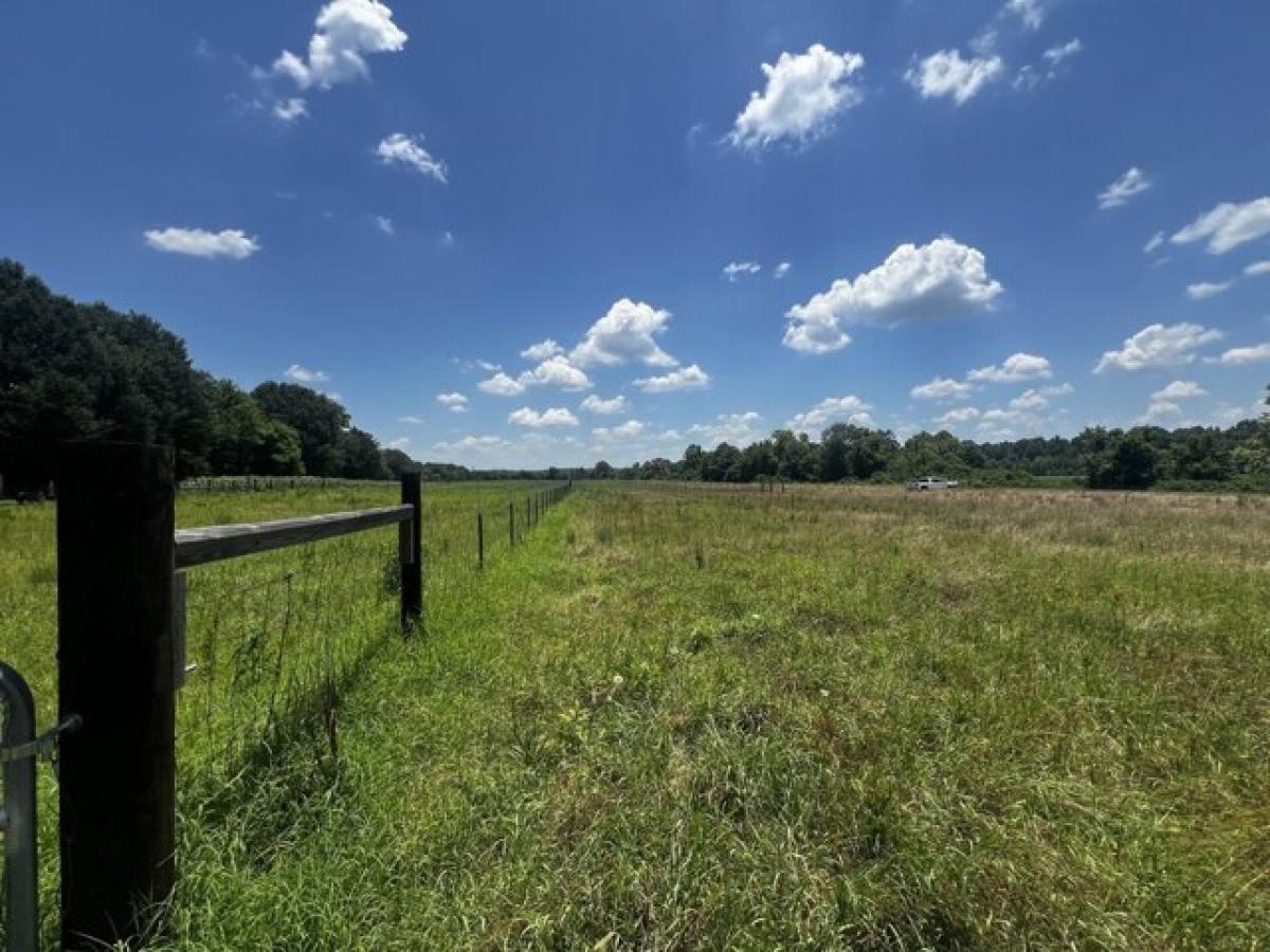 Picture of Residential Land For Sale in Pontotoc, Mississippi, United States