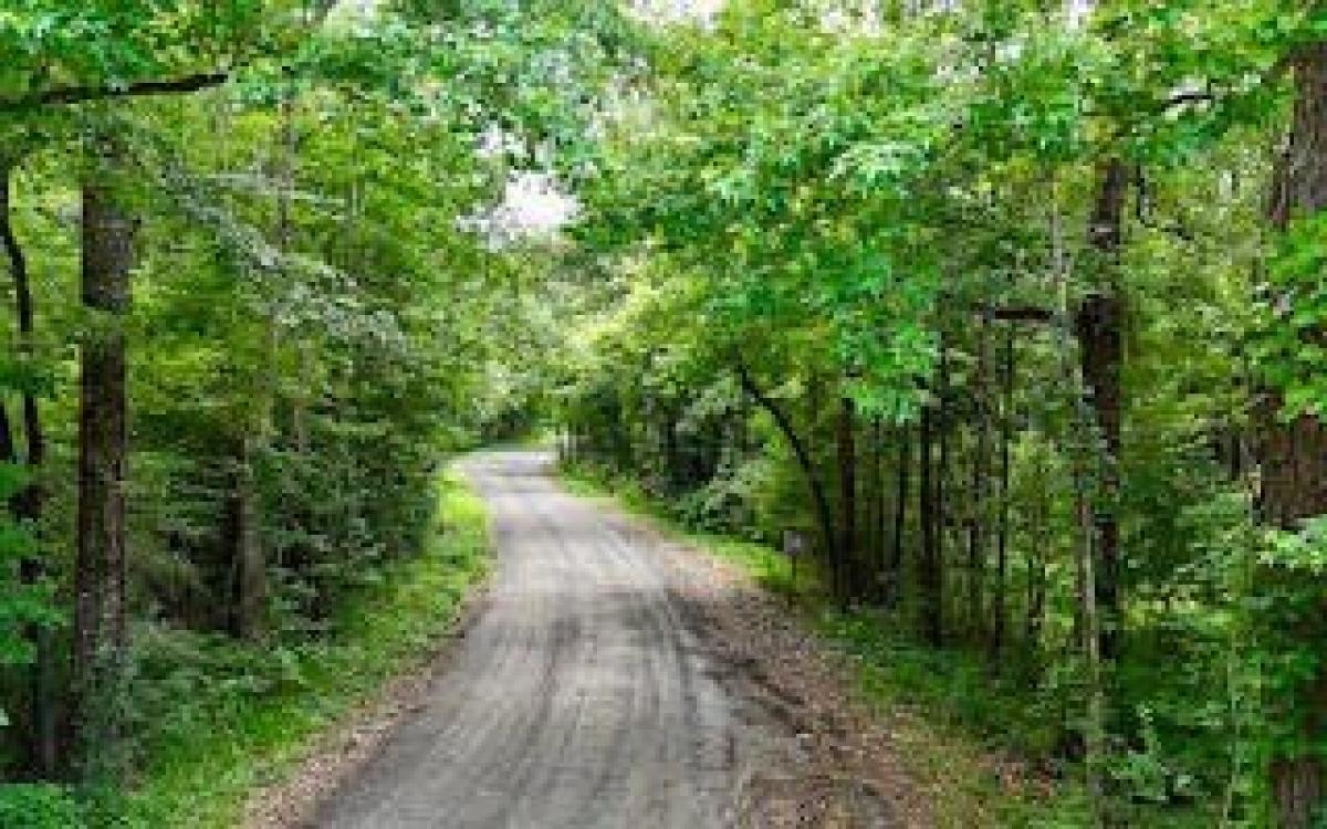 Picture of Residential Land For Sale in Ponce de Leon, Florida, United States