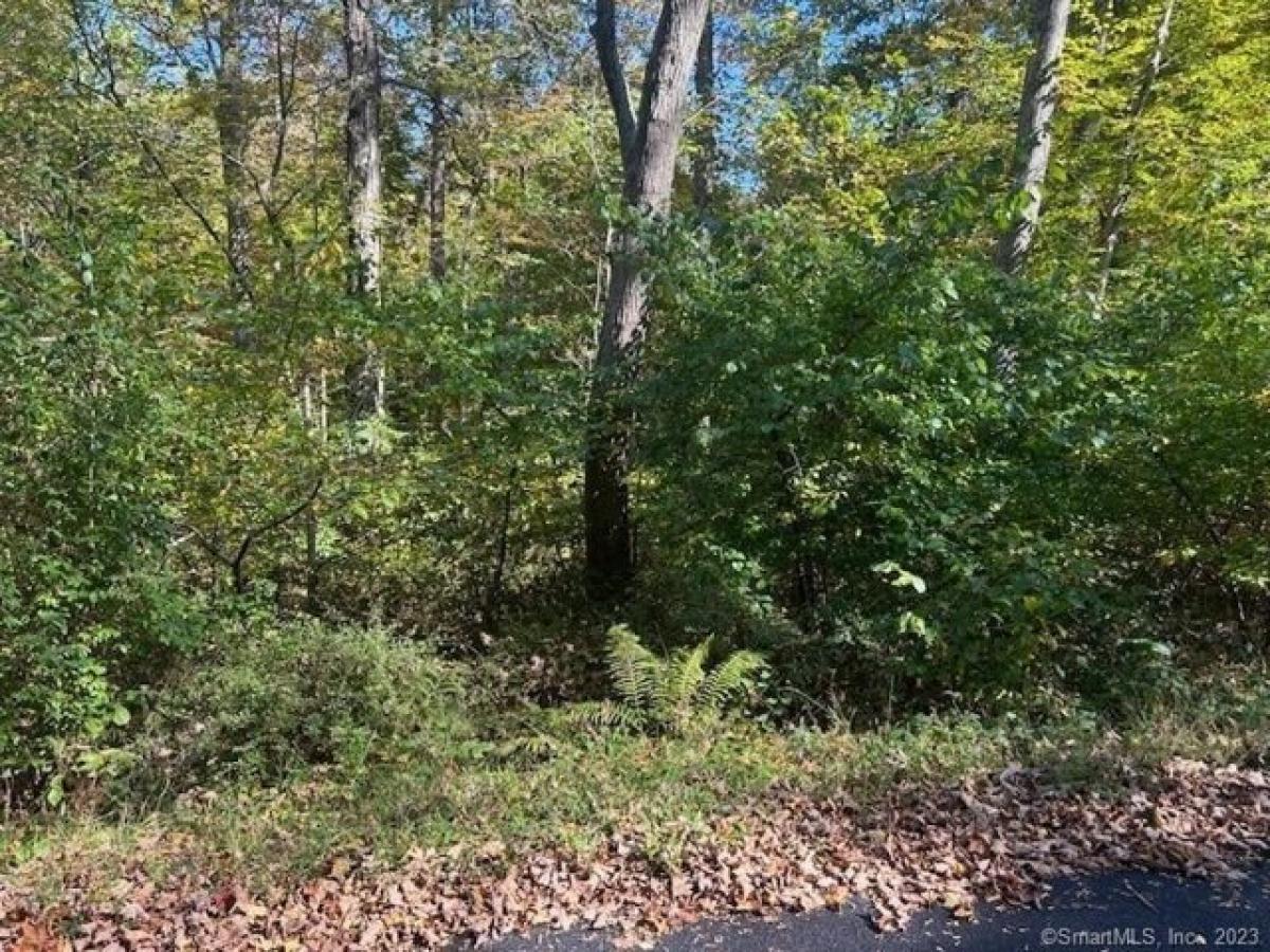 Picture of Residential Land For Sale in Newtown, Connecticut, United States