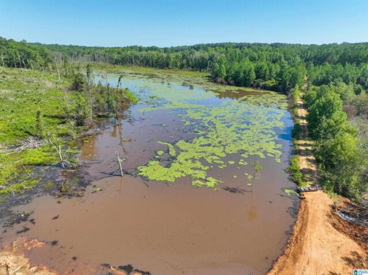 Picture of Residential Land For Sale in Jemison, Alabama, United States