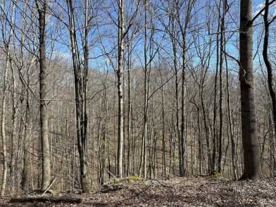 Residential Land For Sale in Leoma, Tennessee