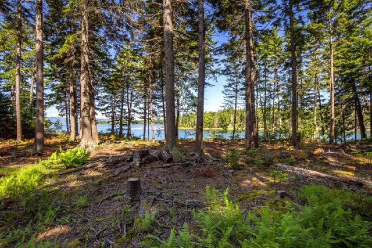 Picture of Residential Land For Sale in Islesboro, Maine, United States