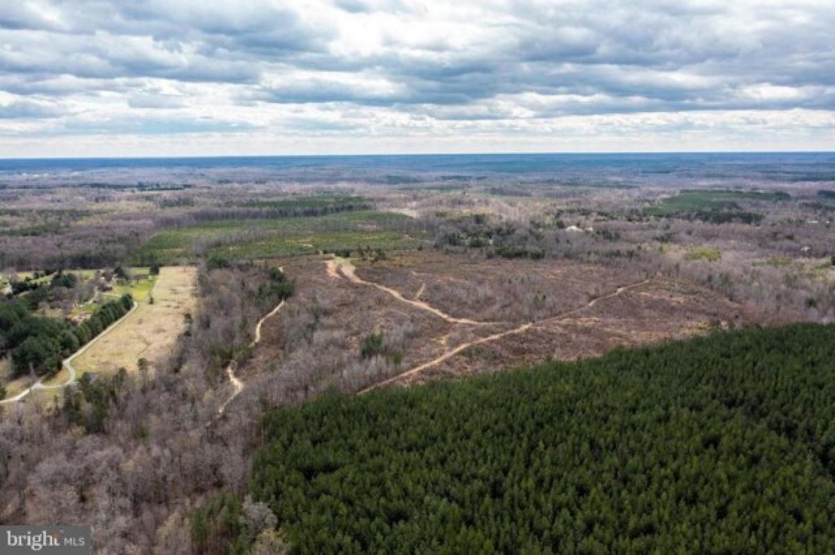 Picture of Residential Land For Sale in Beaverdam, Virginia, United States