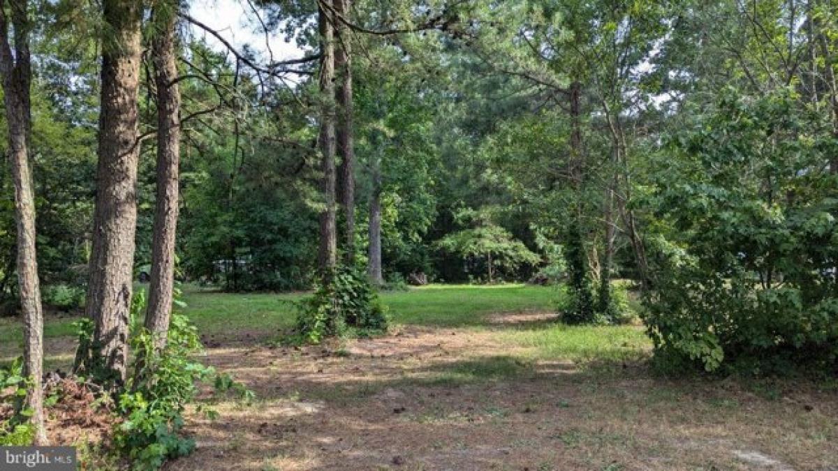 Picture of Residential Land For Sale in Montross, Virginia, United States