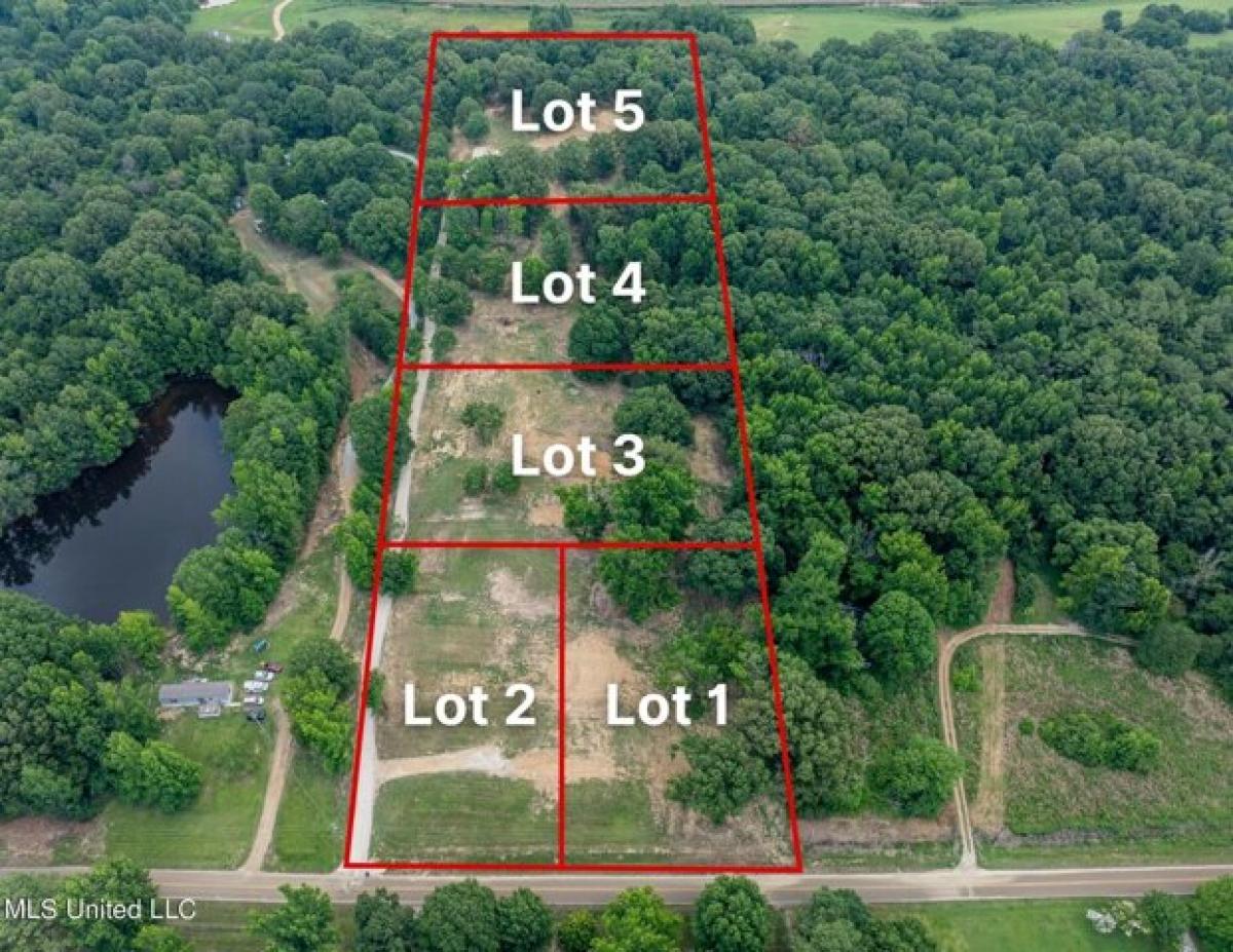 Picture of Residential Land For Sale in Byhalia, Mississippi, United States