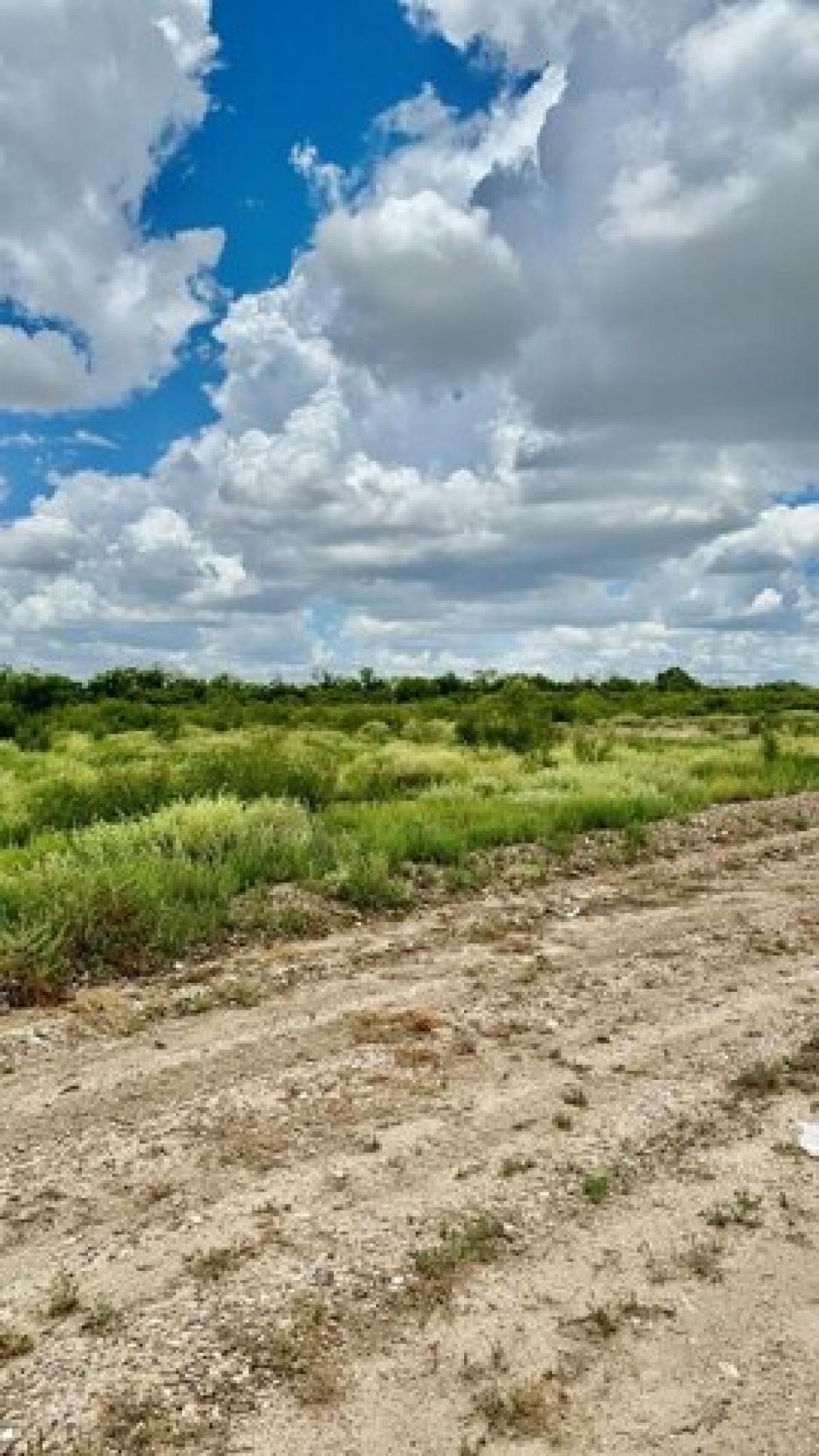 Picture of Residential Land For Sale in Eagle Pass, Texas, United States