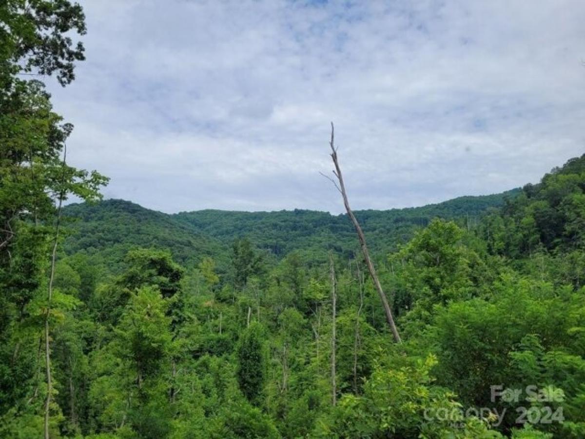 Picture of Residential Land For Sale in Marion, North Carolina, United States