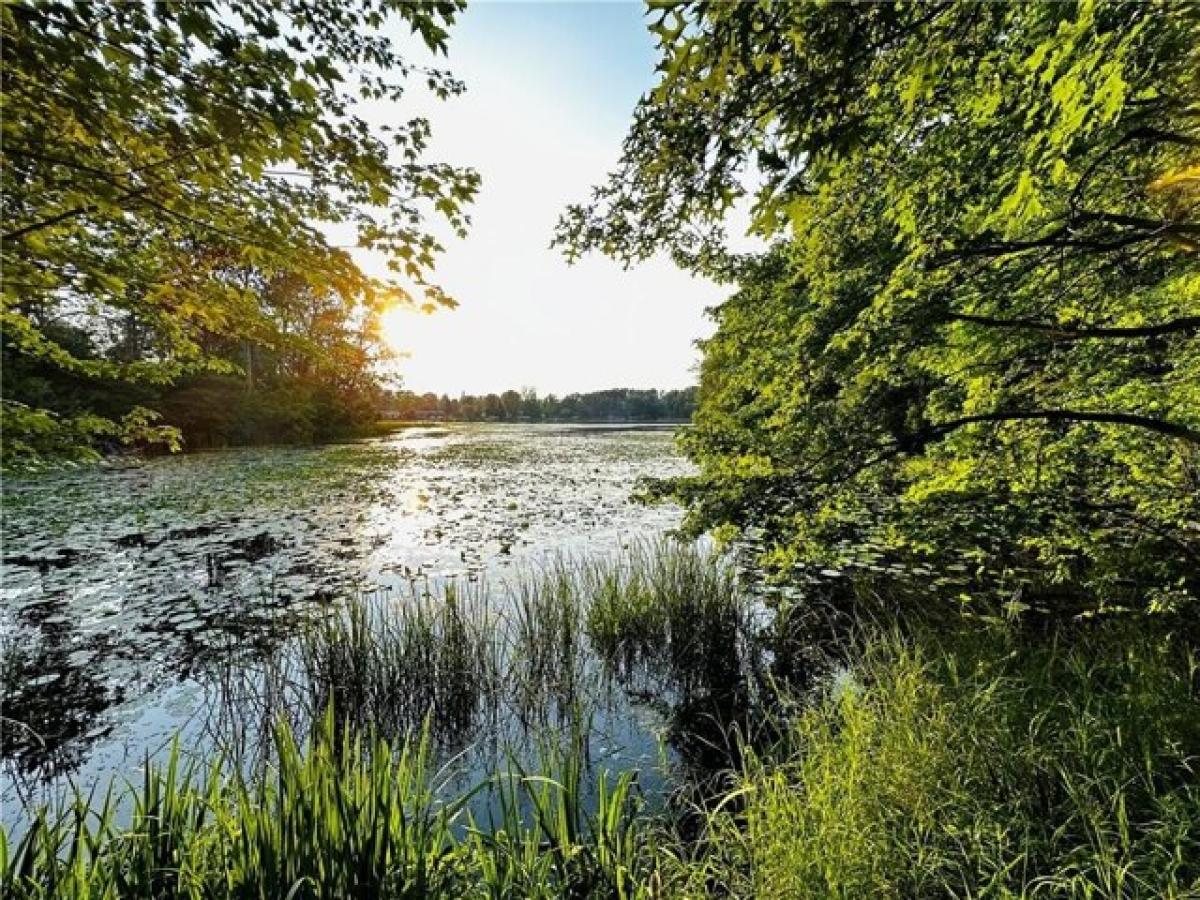 Picture of Residential Land For Sale in Rice Lake, Wisconsin, United States