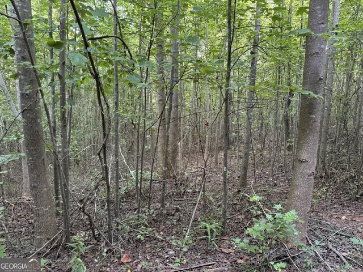 Picture of Residential Land For Sale in Toccoa, Georgia, United States