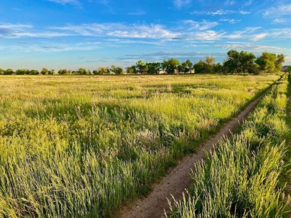 Picture of Residential Land For Sale in Potter, Nebraska, United States