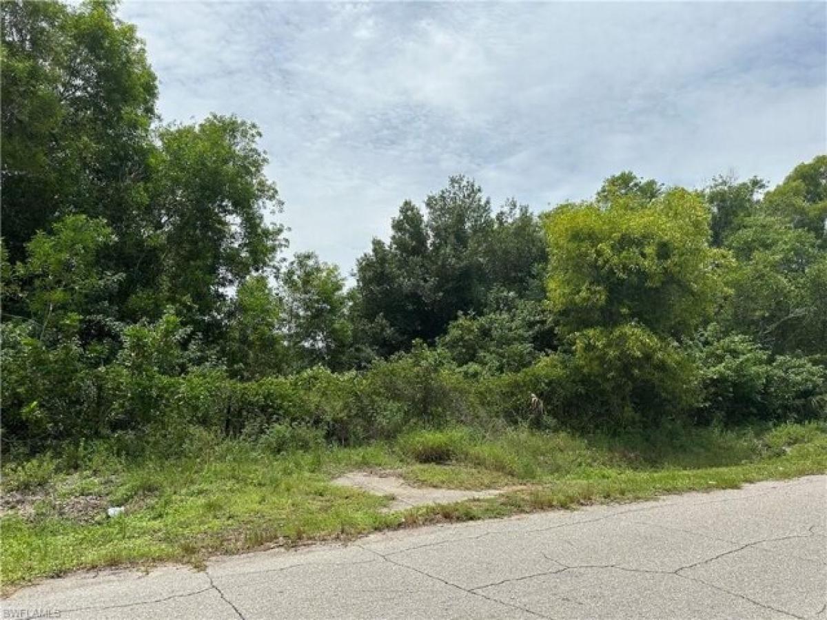 Picture of Residential Land For Sale in Fort Denaud, Florida, United States