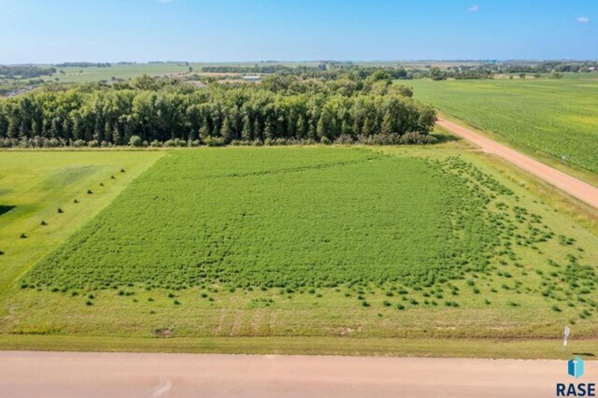 Picture of Residential Land For Sale in Harrisburg, South Dakota, United States