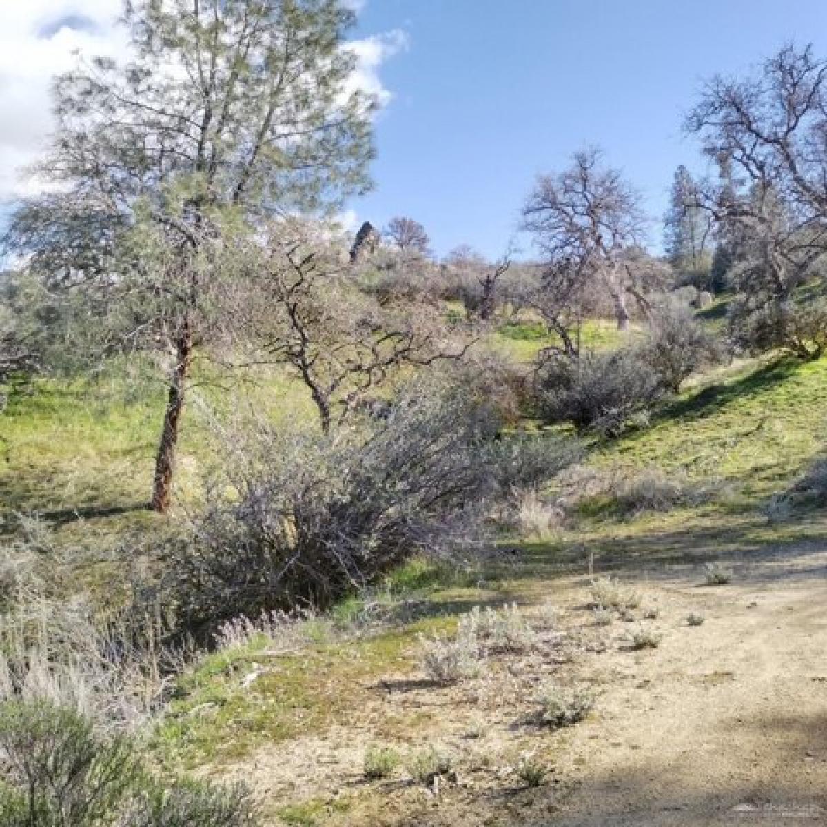 Picture of Residential Land For Sale in Caliente, California, United States