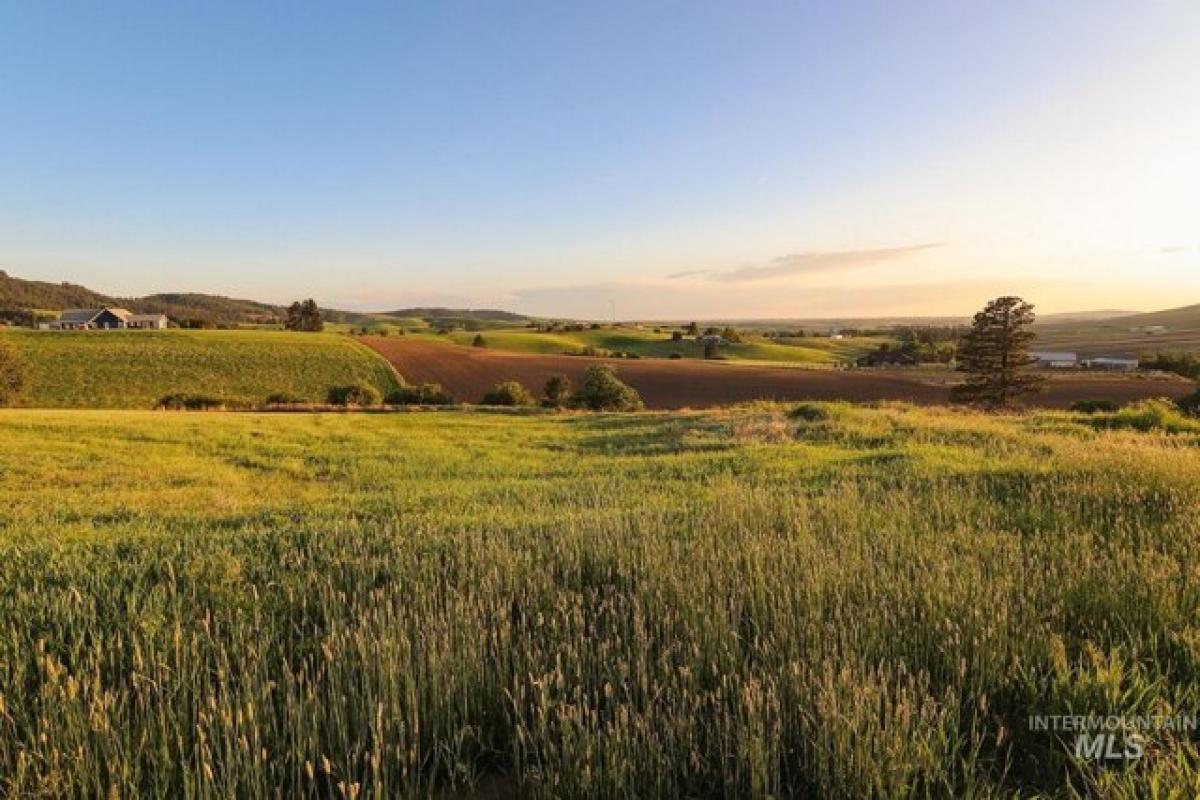 Picture of Residential Land For Sale in Viola, Idaho, United States