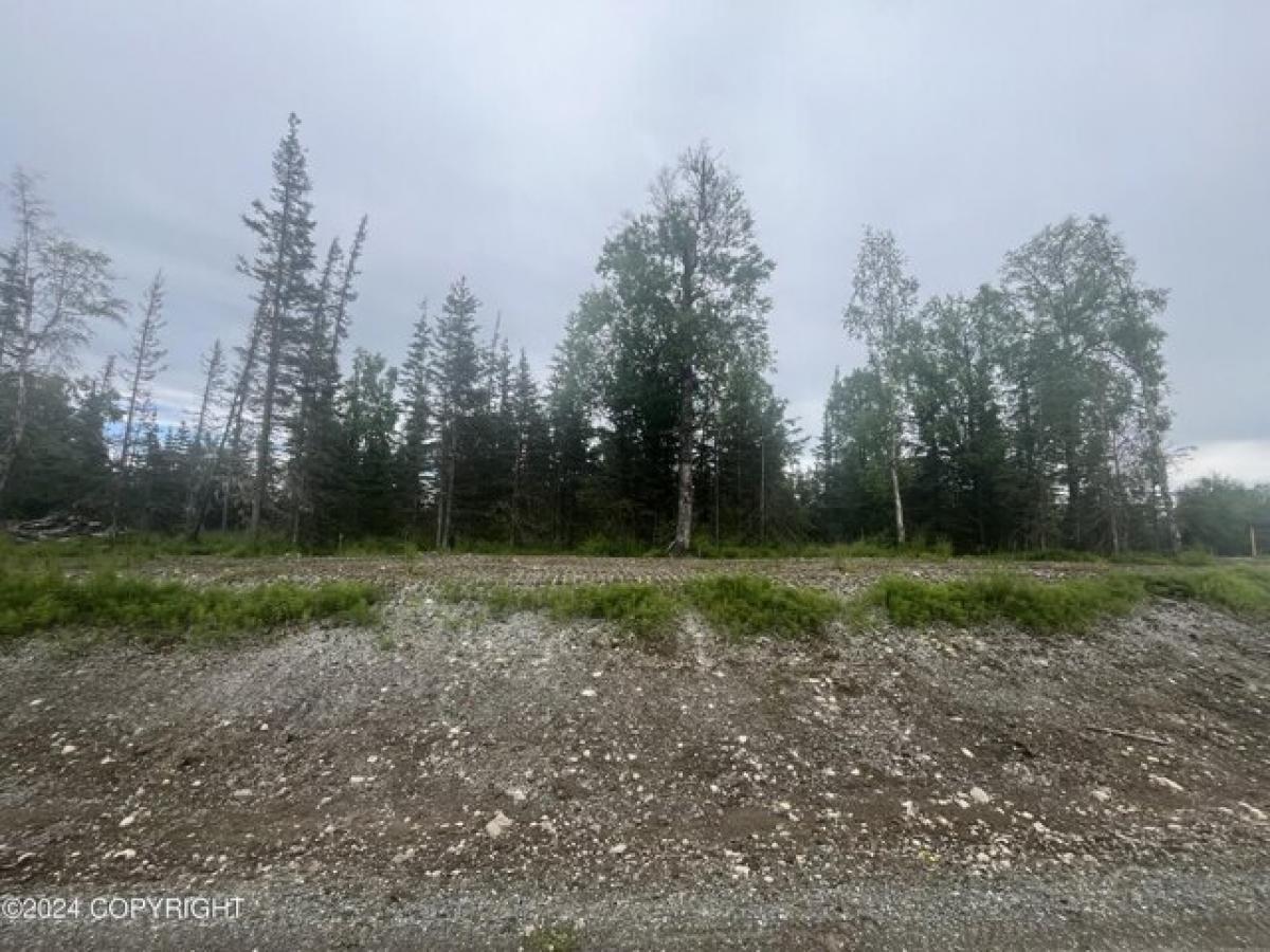 Picture of Residential Land For Sale in Palmer, Alaska, United States