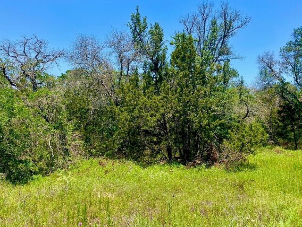 Picture of Residential Land For Sale in Poolville, Texas, United States