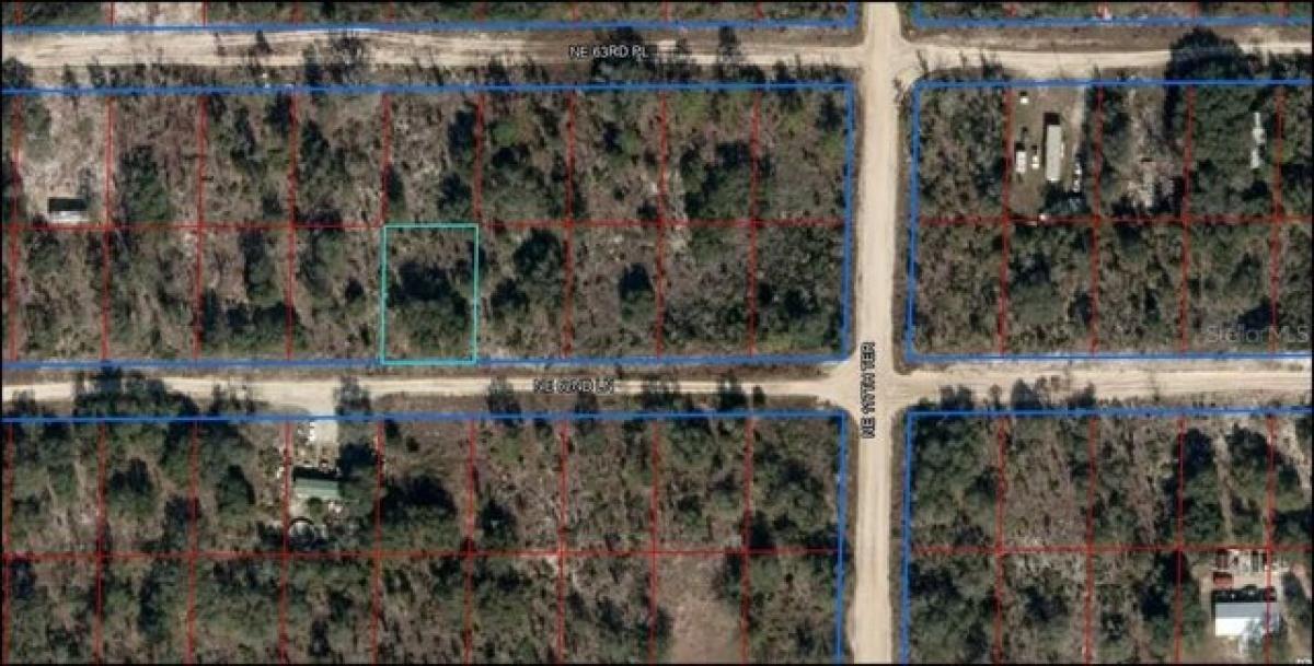 Picture of Residential Land For Sale in Williston, Florida, United States