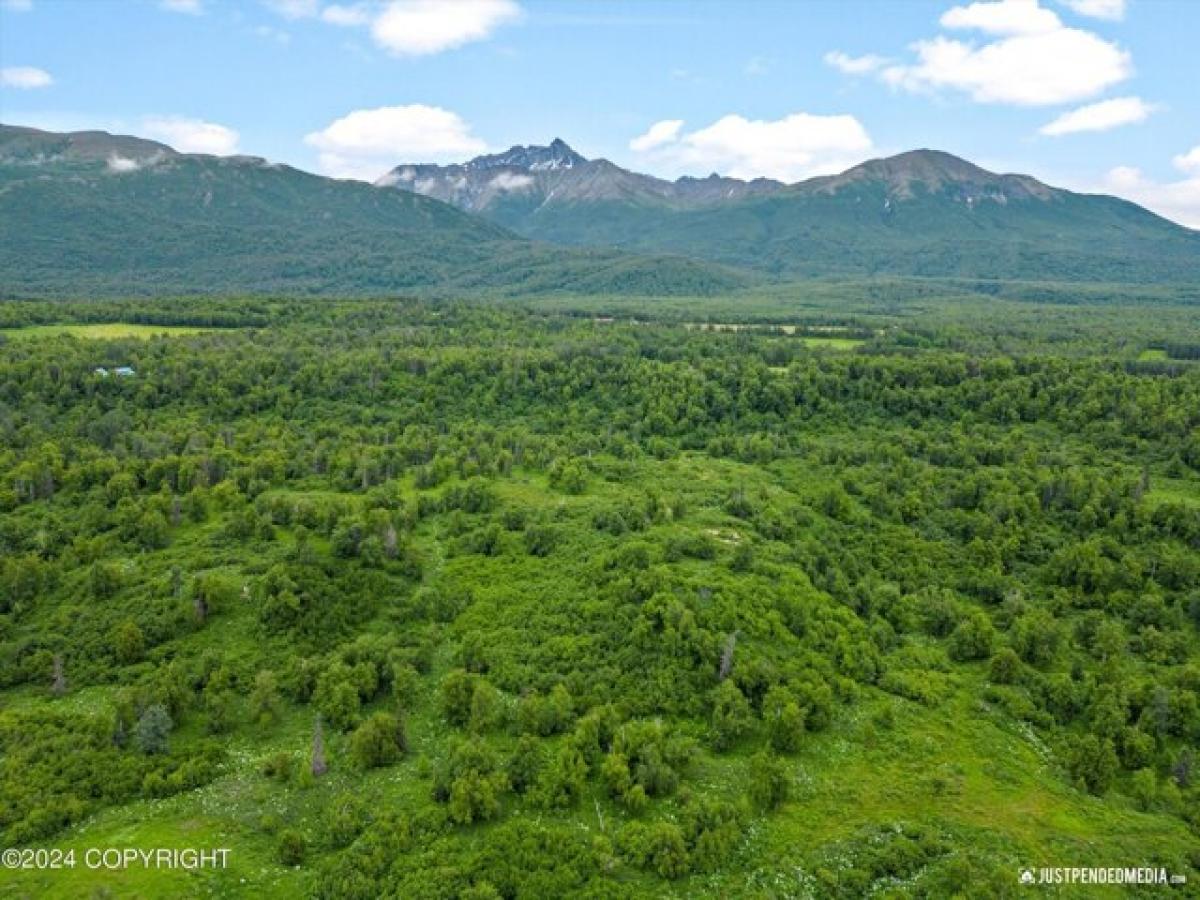 Picture of Residential Land For Sale in Palmer, Alaska, United States