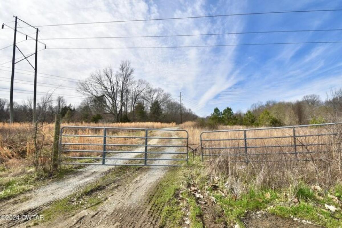 Picture of Residential Land For Sale in Jackson, Tennessee, United States