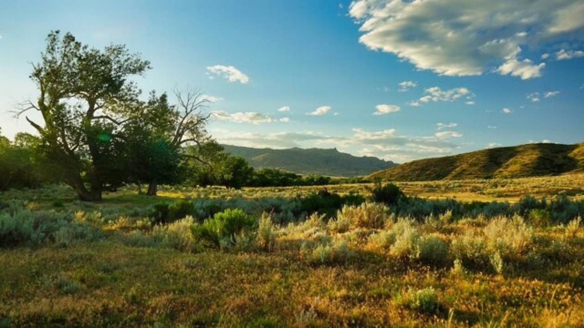 Picture of Home For Sale in Wheatland, Wyoming, United States