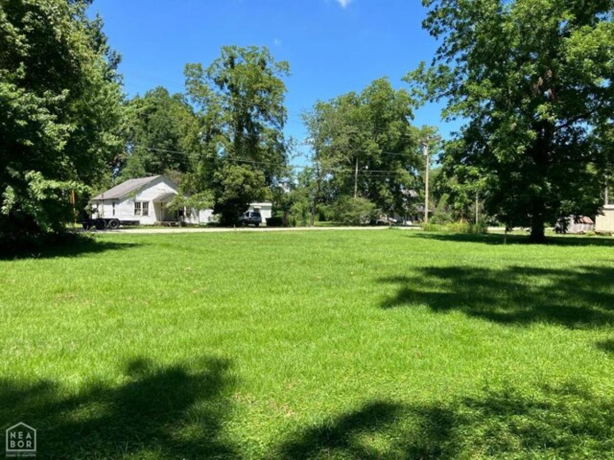 Picture of Residential Land For Rent in Piggott, Arkansas, United States