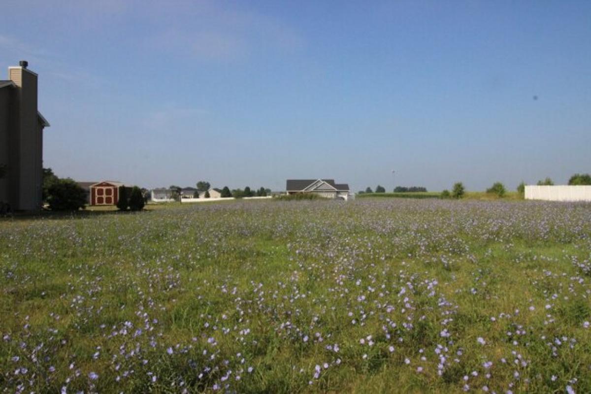 Picture of Residential Land For Sale in Normal, Illinois, United States