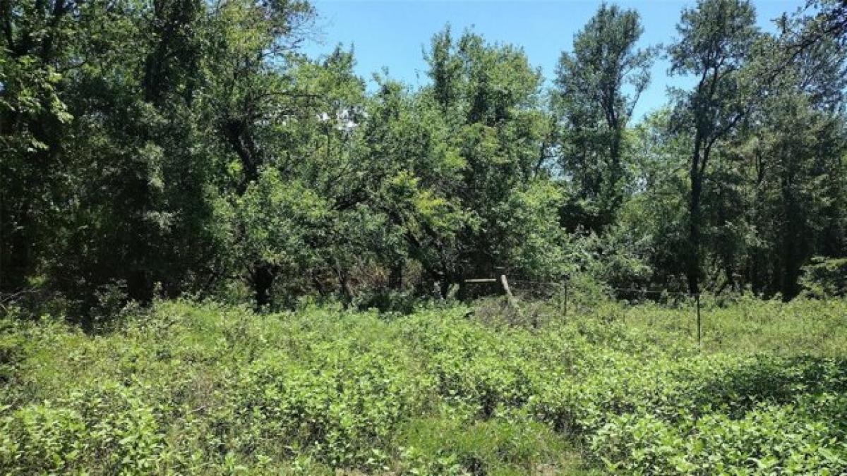 Picture of Residential Land For Sale in Wills Point, Texas, United States