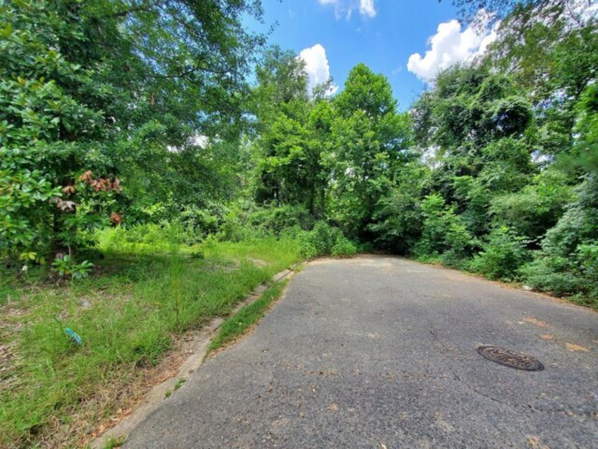 Picture of Residential Land For Rent in Deridder, Louisiana, United States