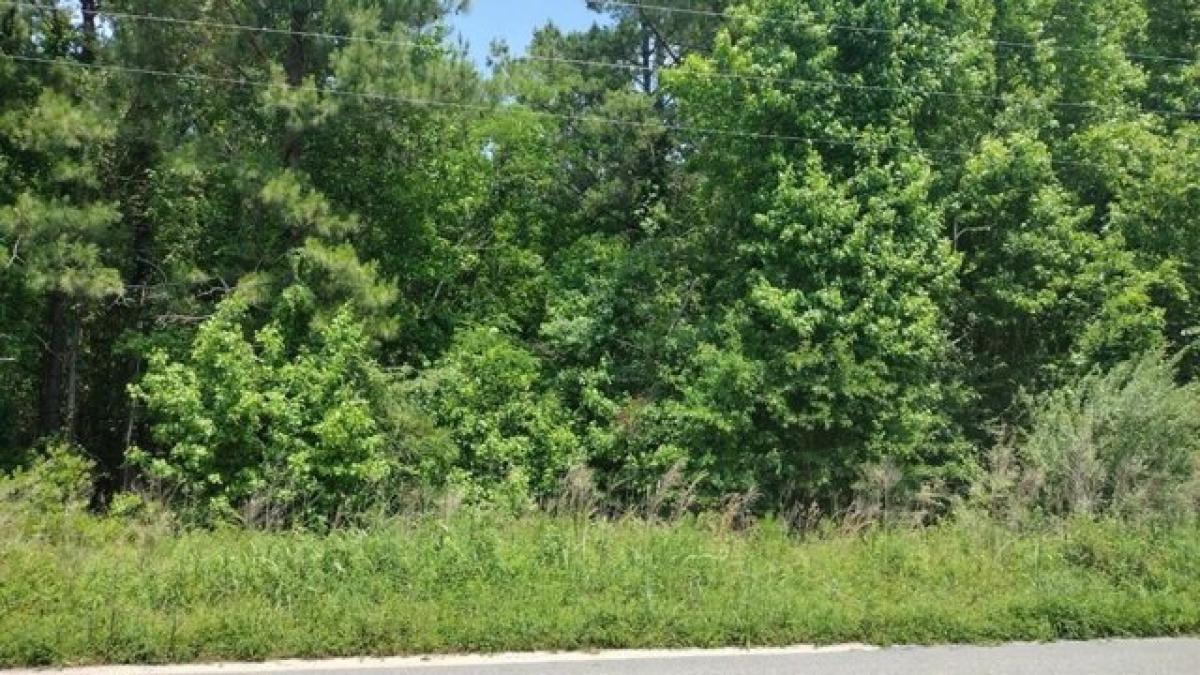 Picture of Residential Land For Sale in Manning, South Carolina, United States