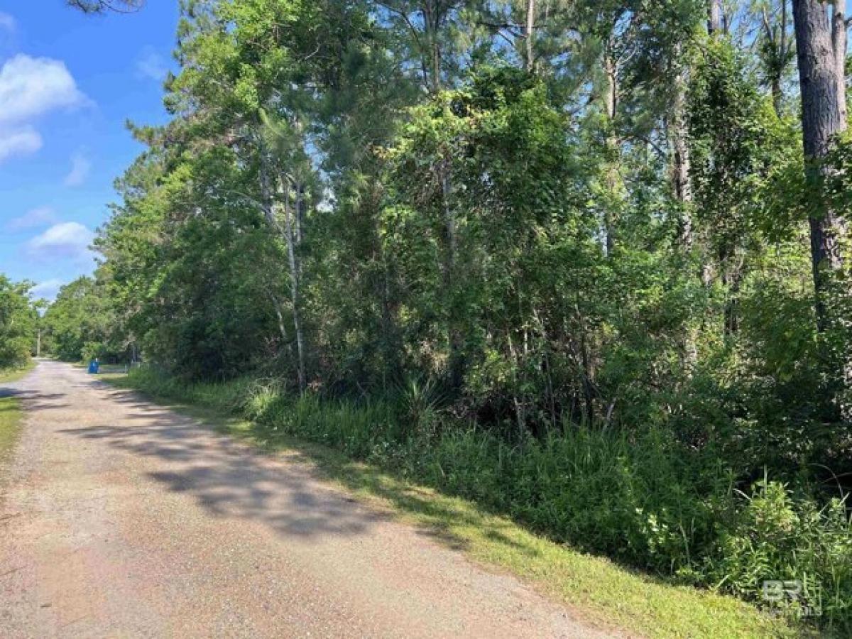 Picture of Residential Land For Sale in Gulf Shores, Alabama, United States